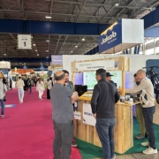 stand sur mountain Planet